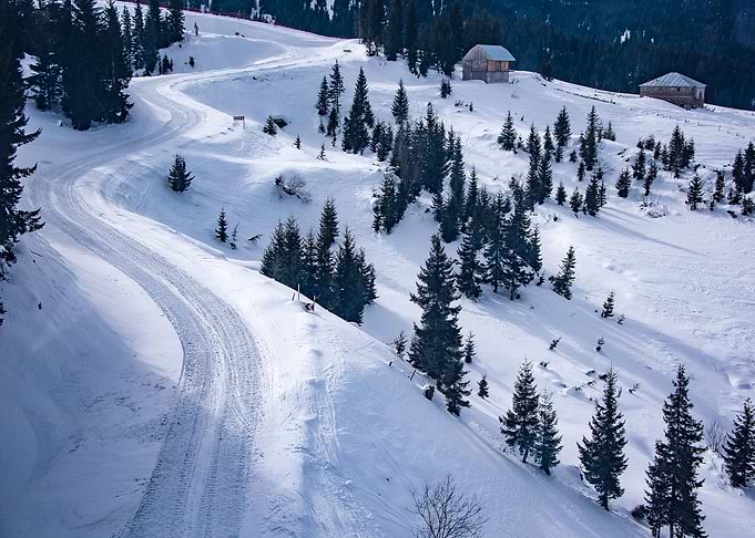 Winter Landscape