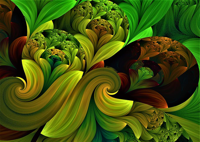 Spirals in Bloom