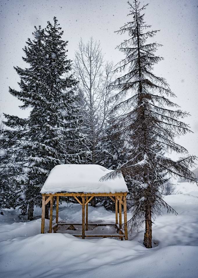 Winter Landscape