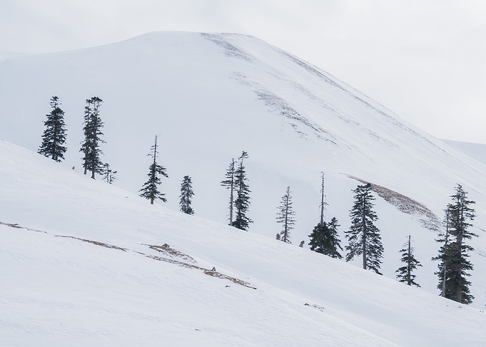 Winter Landscape