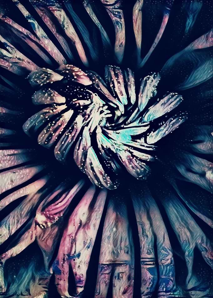 Bloom