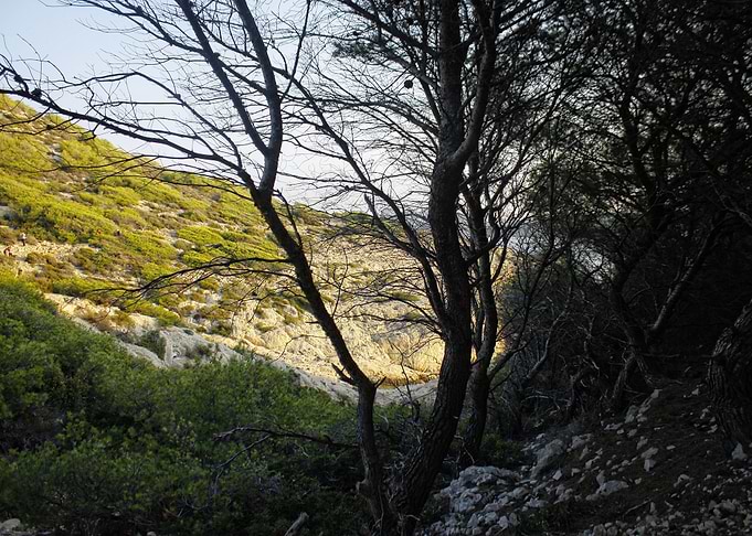 Calanque de la Mounine