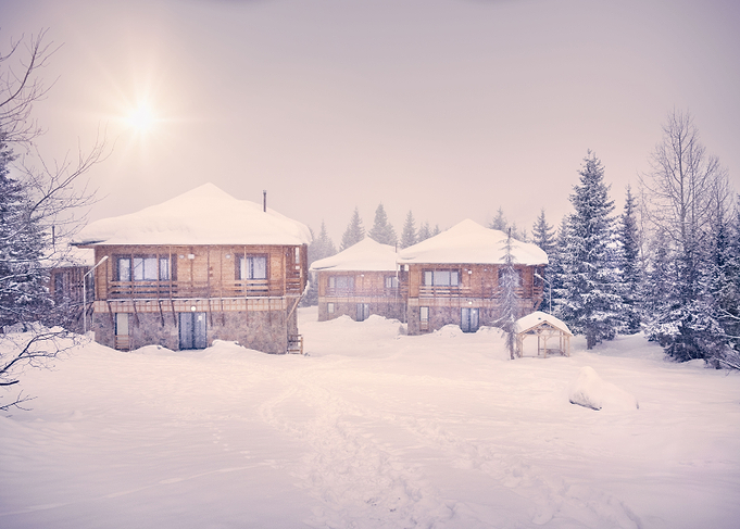 Winter Landscape