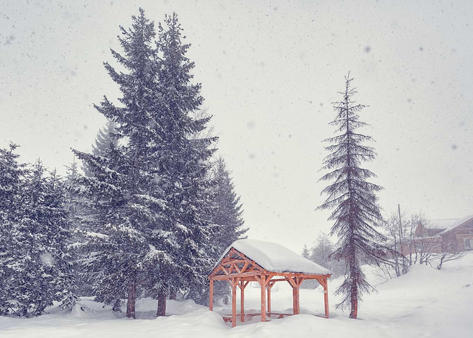 Winter Landscape