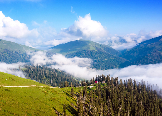Mountain Landscape