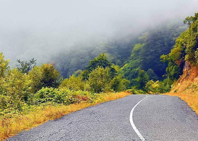 Georgia Landscape