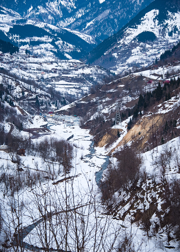 Winter Landscape