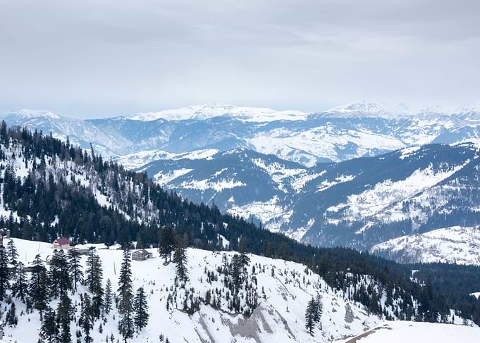 Winter Landscape