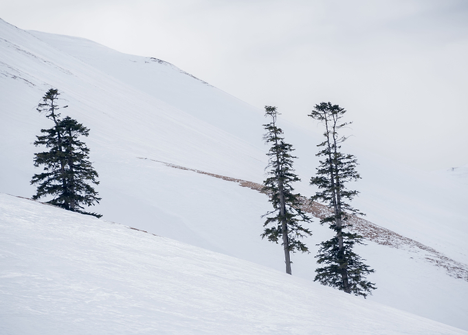 Winter Landscape