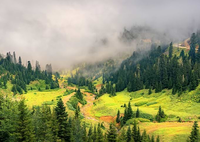 Georgia Landscape