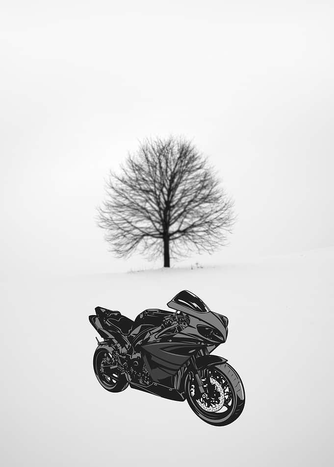 Art Design