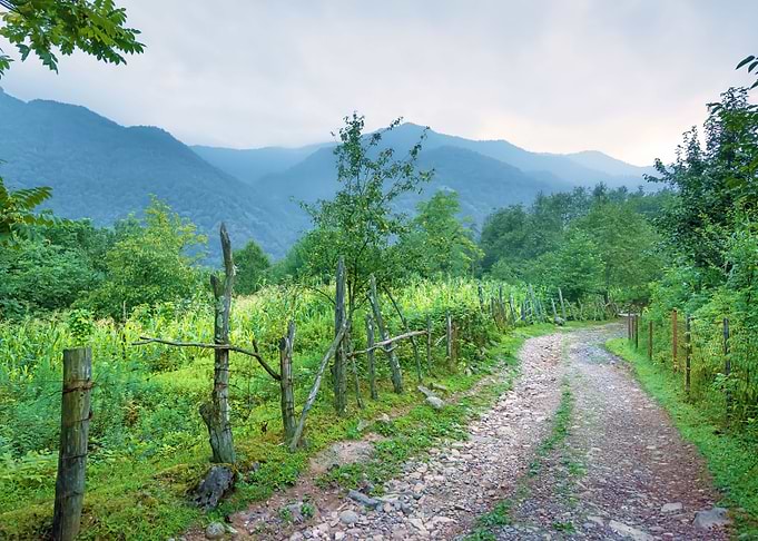 Country Road