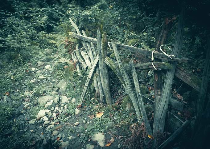 Old Fence