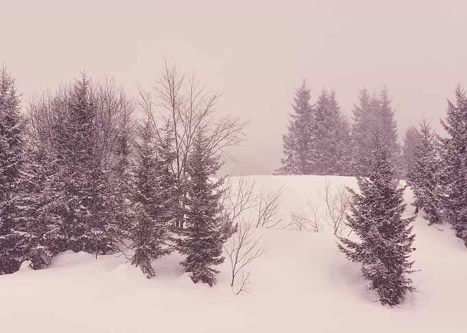 Winter Landscape