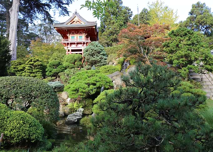 Japanese Tea Garden 1