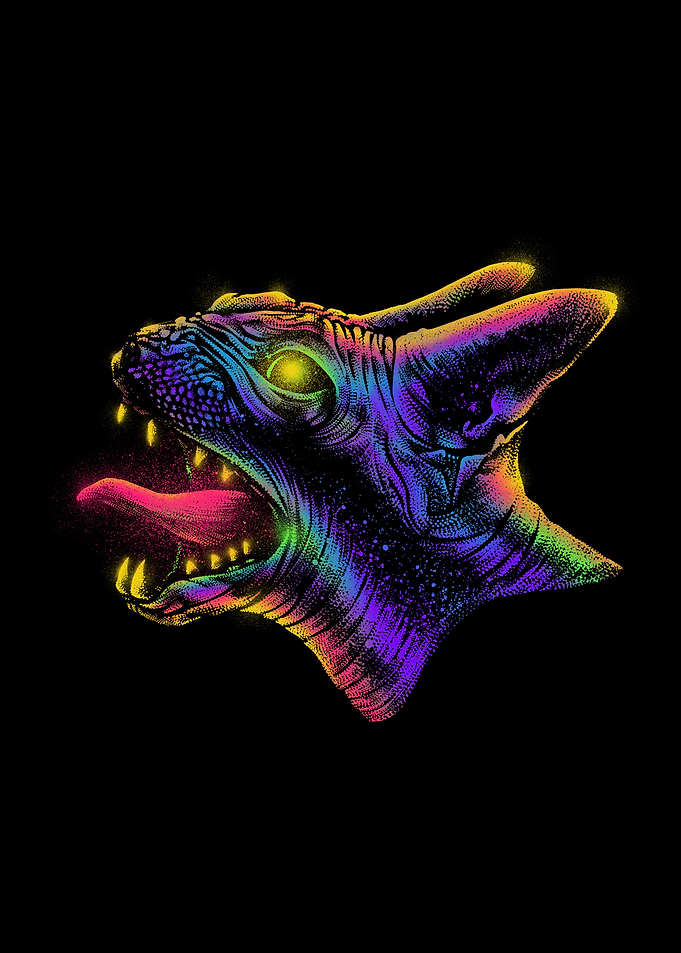 Angry Sphynxcat