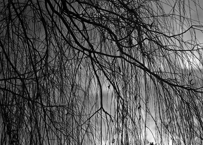Stille im Sturm