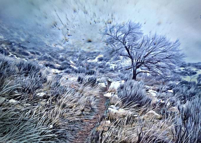 A Winters Journey
