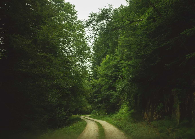 The green path