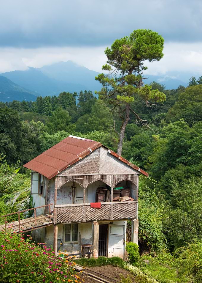 Georgia Landscape