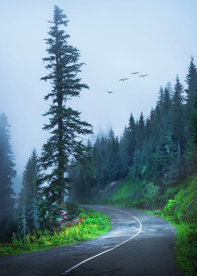 Country Road