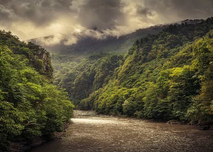Georgia Landscape