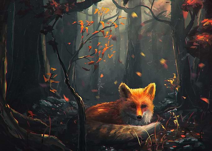 Fox Woodland