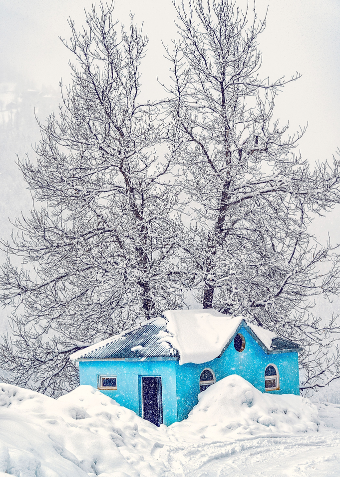 Winter Landscape