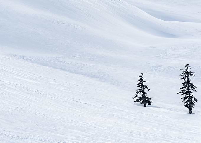 Winter Landscape