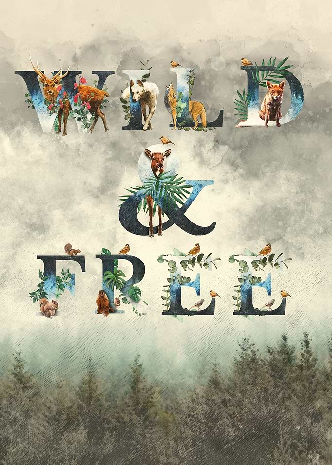 Wild and Free