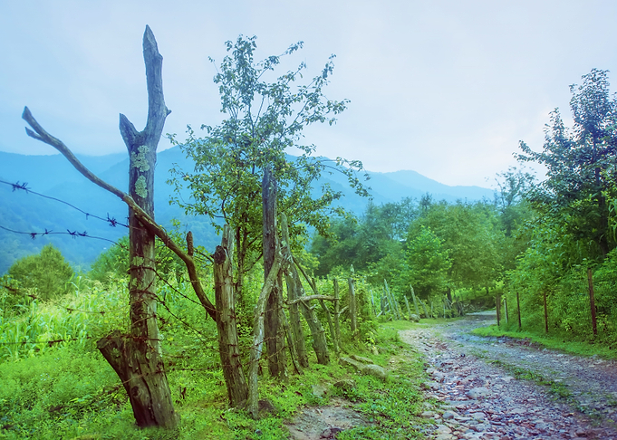 Country Road