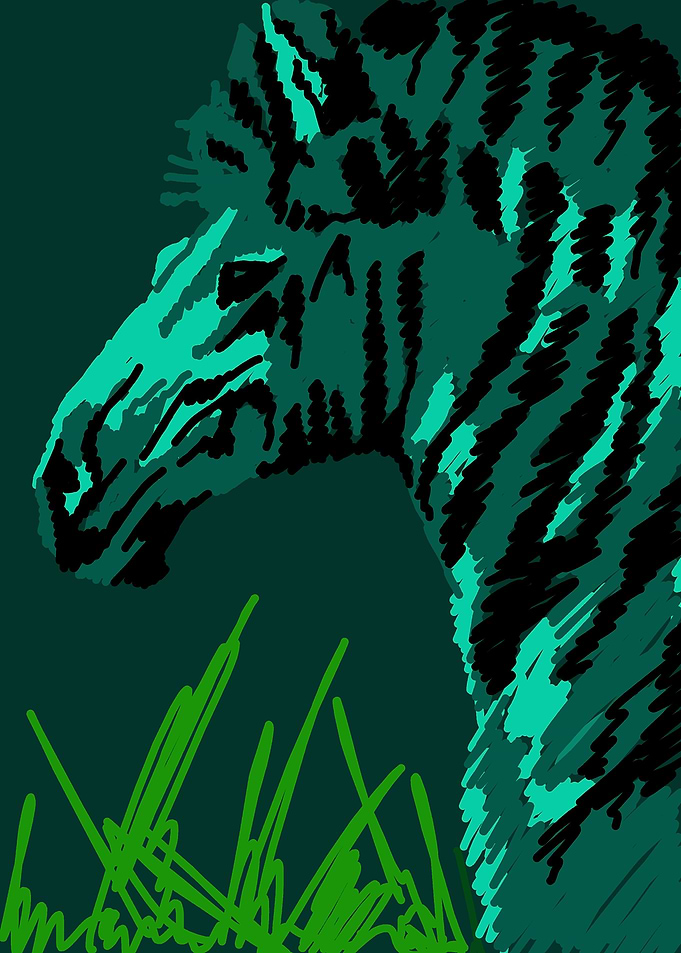 zebra
