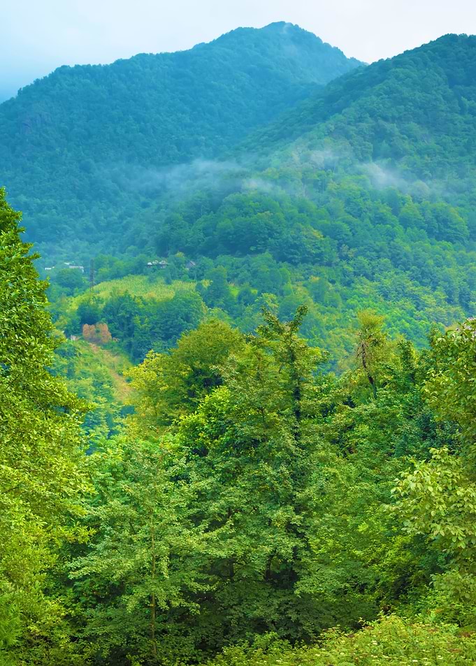 Country View