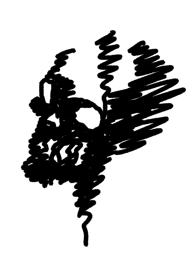 black skull 1