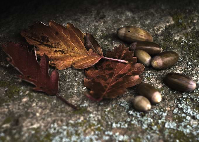 Herbst