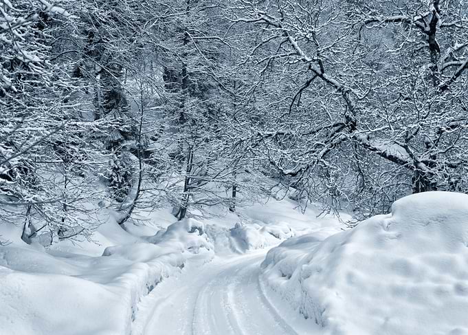 Winter Landscape