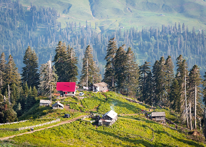 Village on a hill