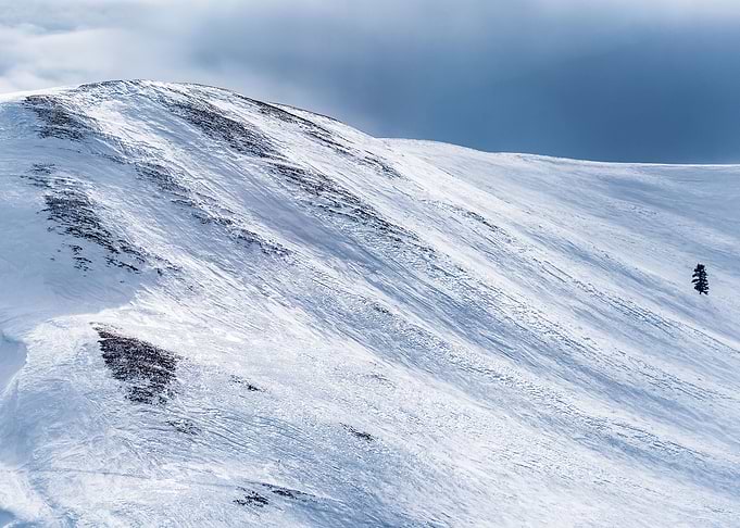 Winter Landscape