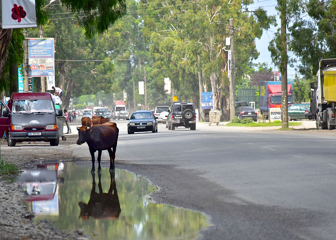 Batumi Roads