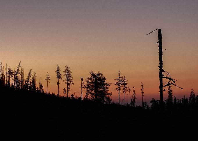Sunrise on trail