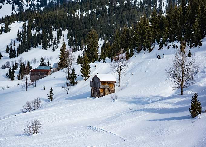 Winter Landscape