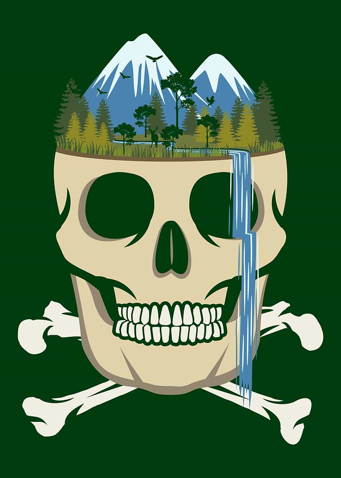 Scull Waterfall