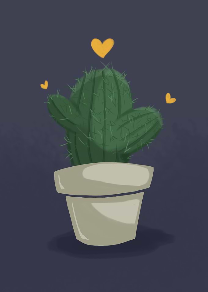 Lil Cactusy