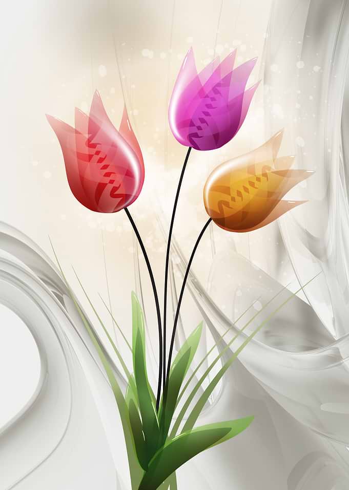 Tulip