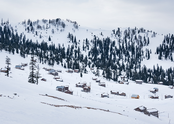 Winter Landscape