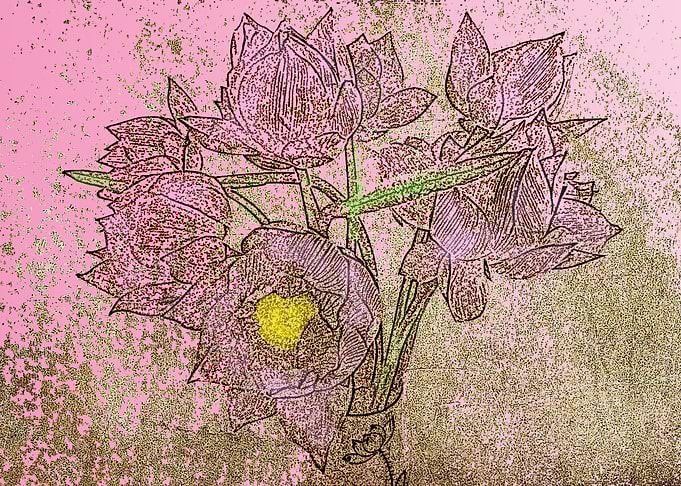 lotus
