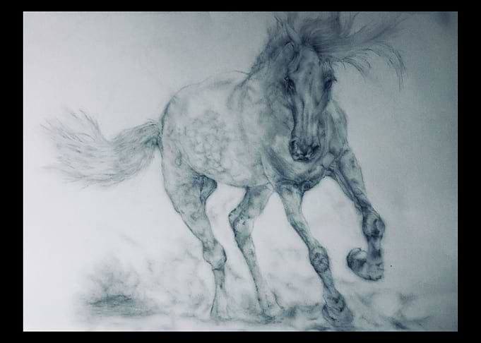 horse running