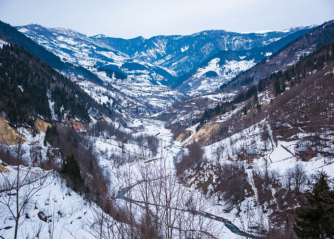 Winter Landscape