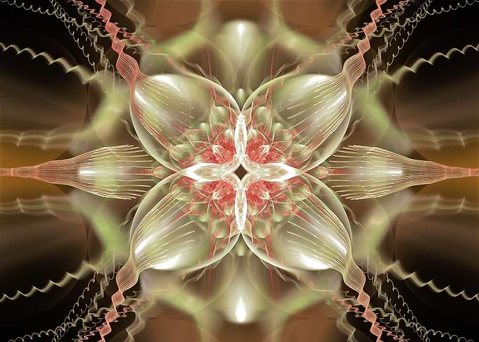 Interstellar Orchid