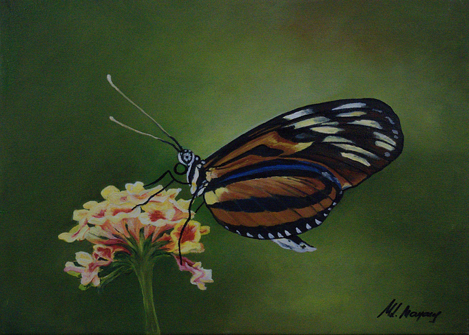 Butterfly on a flower